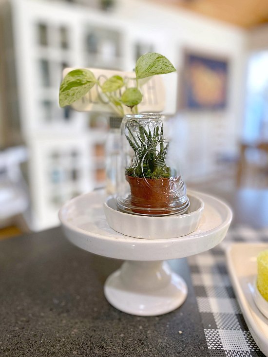 succulent terrarium using a mason jar