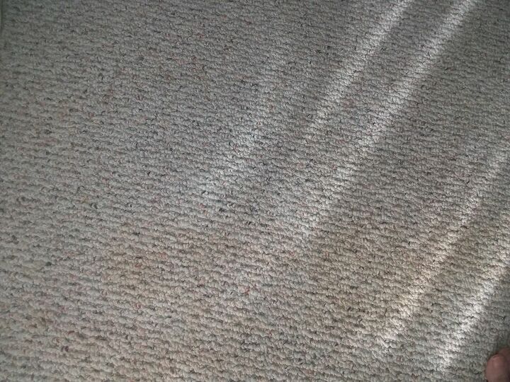 q brown stain on in carpet
