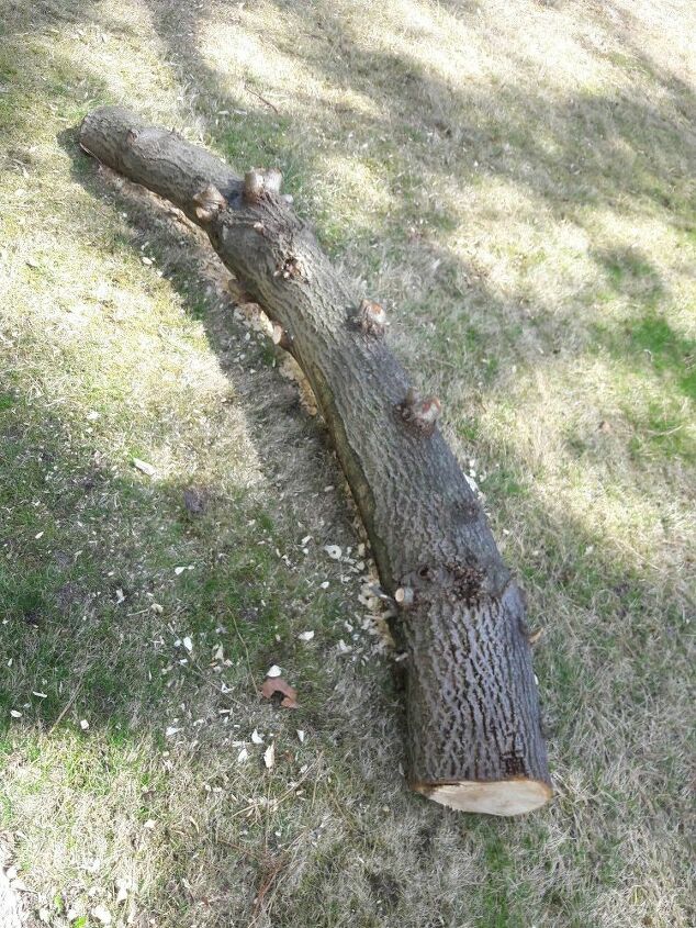 log planter, This is the limb