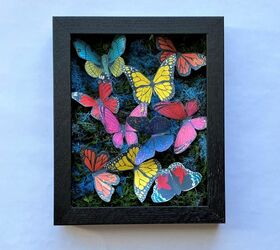 beautiful butterfly shadow box