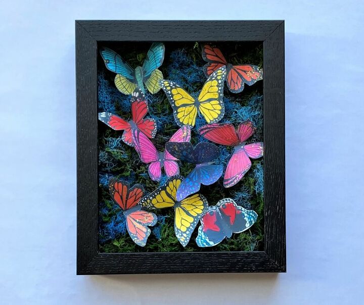 linda caixa de sombra de borboleta