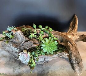 diy driftwood planter use any old wood