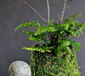 cute diy moss pouches, Himalayan maidenhair fern in a DIY moss pouch