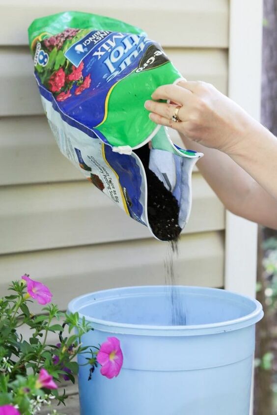 como encher uma grande caixa de janela com as plantas certas