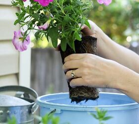 filling a large planter with the right plants