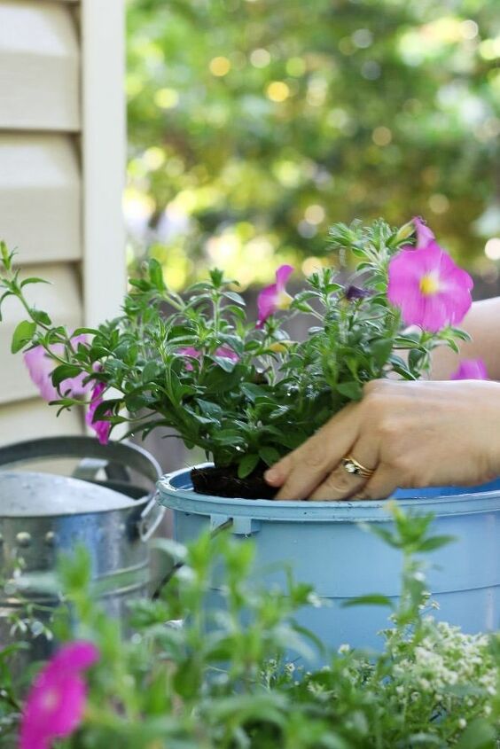 como encher uma grande caixa de janela com as plantas certas