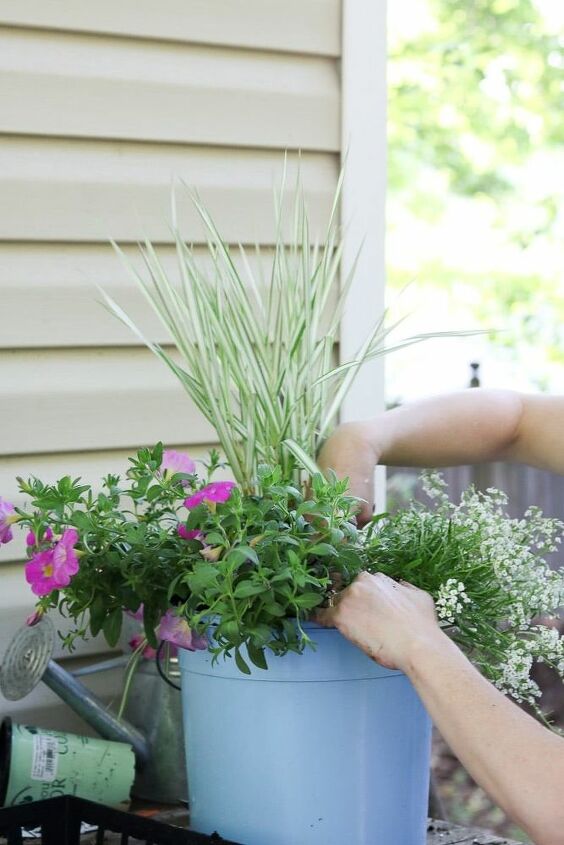 filling a large planter with the right plants