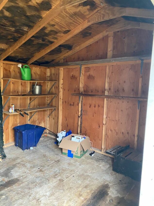 q how can i clean and repair this shed