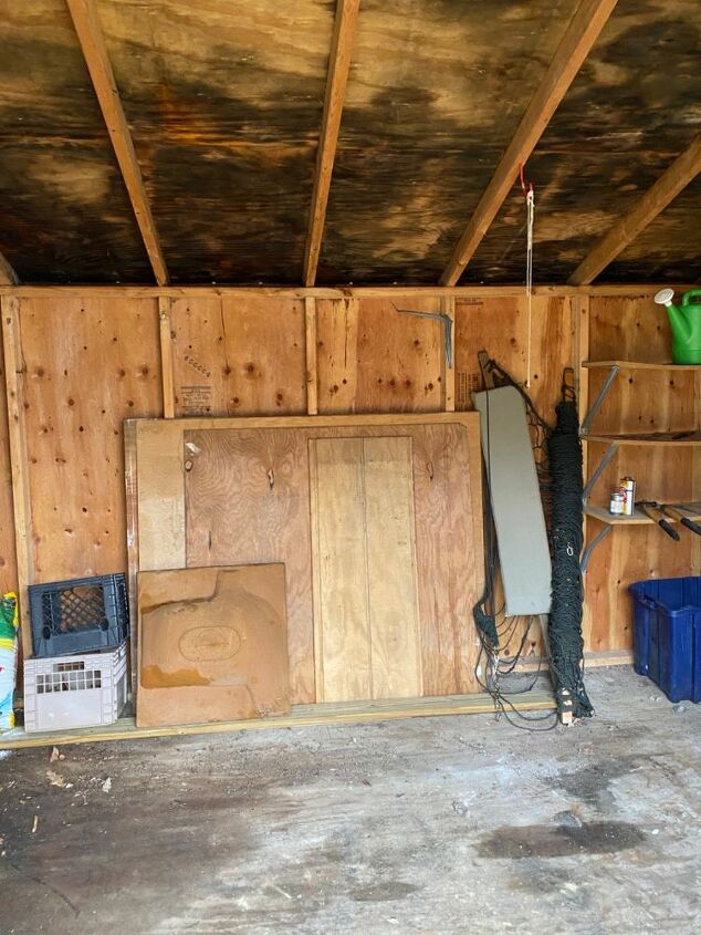how can i clean and repair this shed