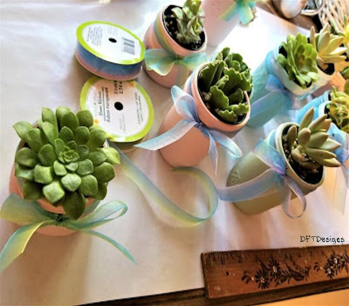 succulent easter holiday or wedding favors