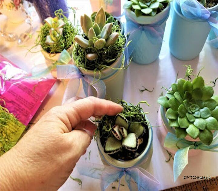 succulent easter holiday or wedding favors