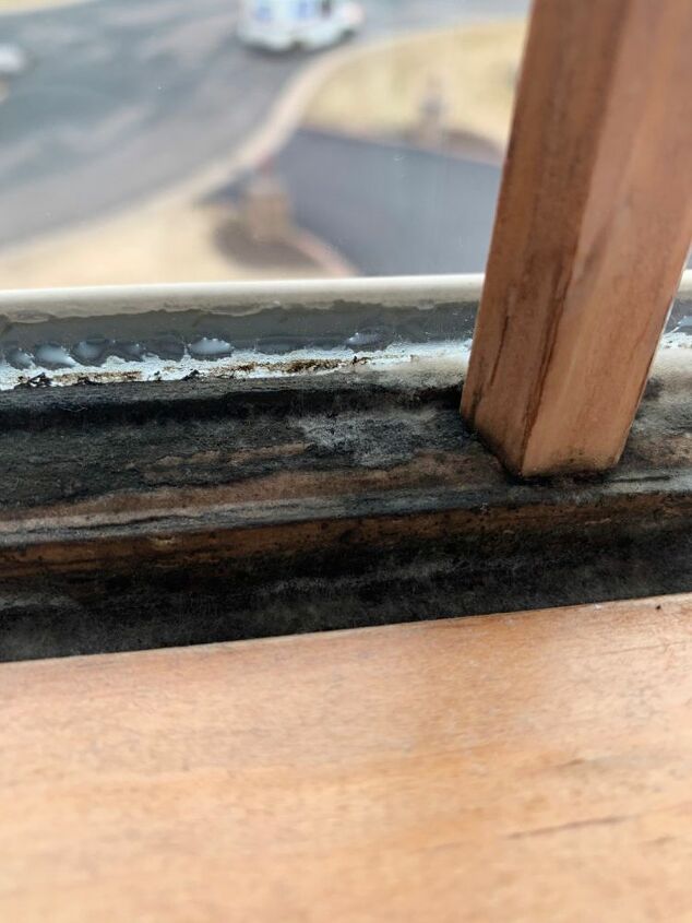 q how to get mold off window frame