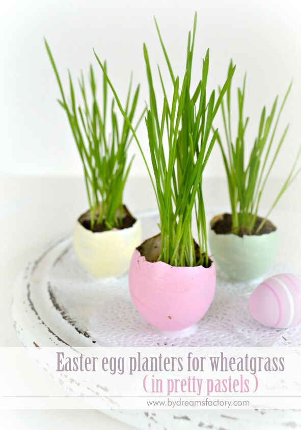 s 15 playful easter decorations that go beyond colorful eggs, Plant wheatgrass in eggshells