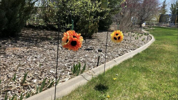 s 8 ways to brighten up your garden this year, Sunflower Balls