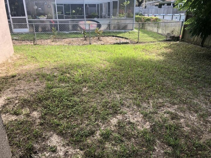 q i need ideas on what we could do with our awful backyard