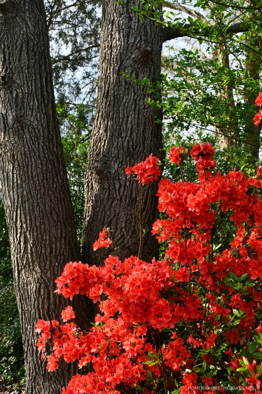 guirlanda de primavera diy com botas de chuva floridas