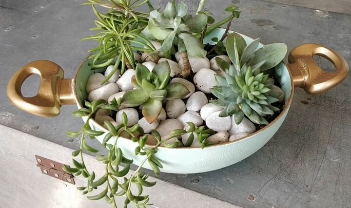 your guide to making a diy succulent planter from an old frying pan, DIY Succulent Planter