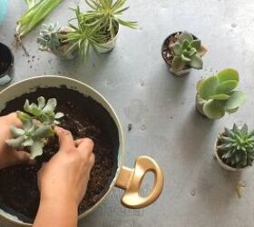 your guide to making a diy succulent planter from an old frying pan, Fill the Planter