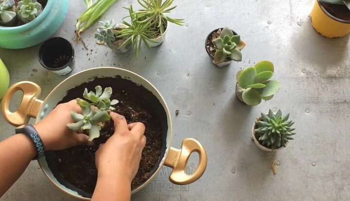 your guide to making a diy succulent planter from an old frying pan, Fill the Planter