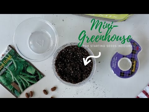 10 trucos ingeniosos para iniciar tus semillas en el interior ahora mismo, Mini invernadero de copa de pl stico