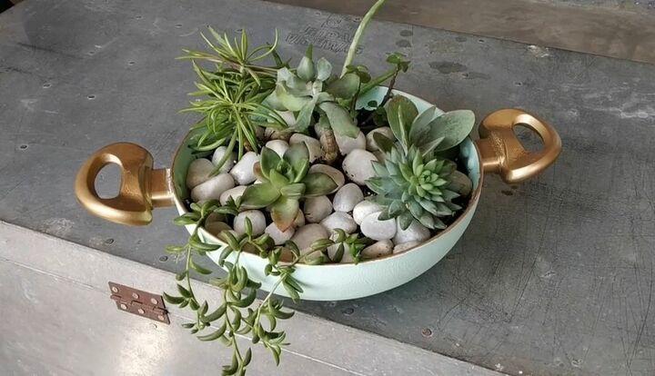 15 crazy creative ways to reuse old pots and pans around your home, Transform an old frying pan into a succulent planter