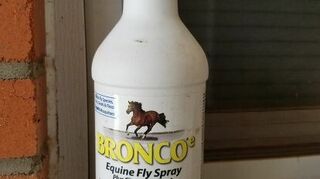 How Do You Get Rid Of Flies On The Front And Back Porch Hometalk
