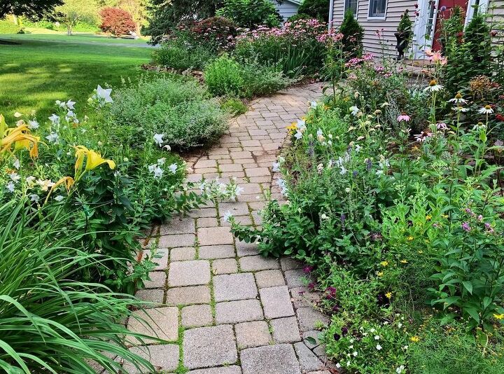 how to start a garden, Everblooming walkway garden for pollinators