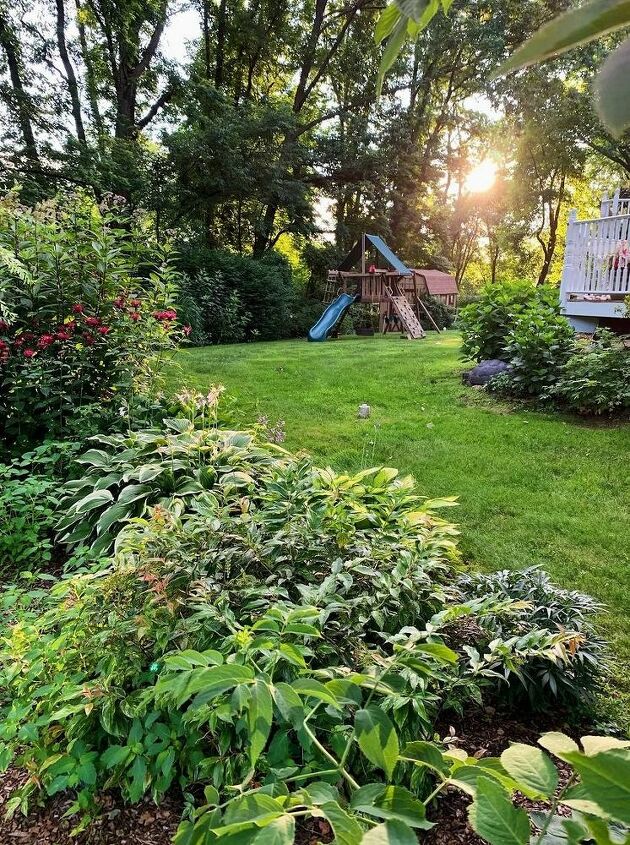 how to start a garden, Backyard borders