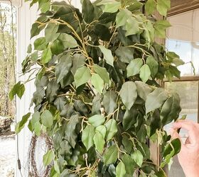 the best way to save a faux ficus tree