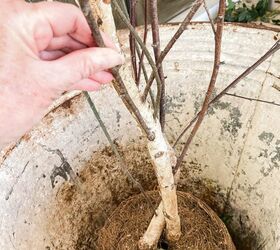 the best way to save a faux ficus tree