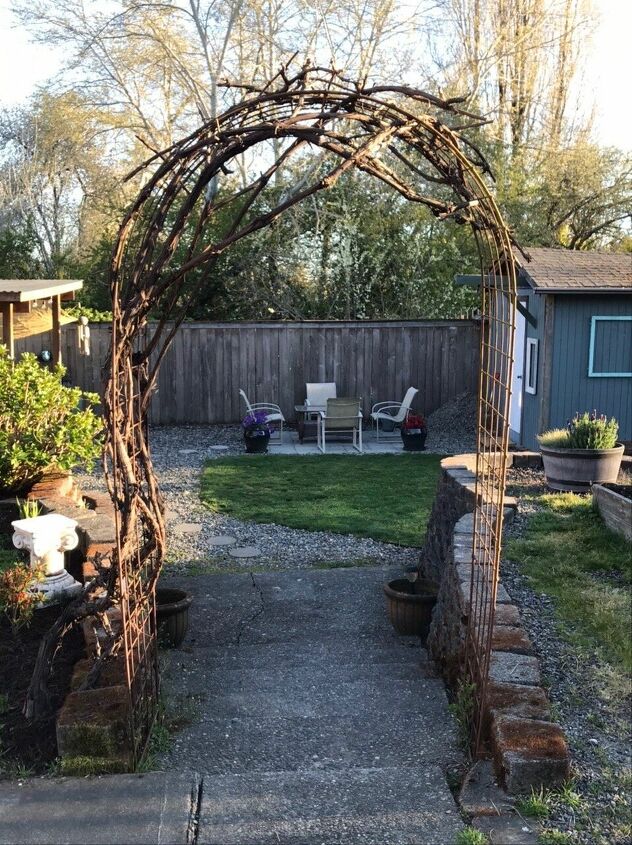 q did i cut my grapevines back too far