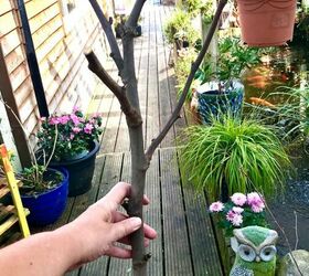 how to give a tree branch a whole new look for your garden, Branch ready to paint