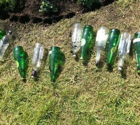 how to use your old glass bottles to create nice flower bed border, Old glass bottles