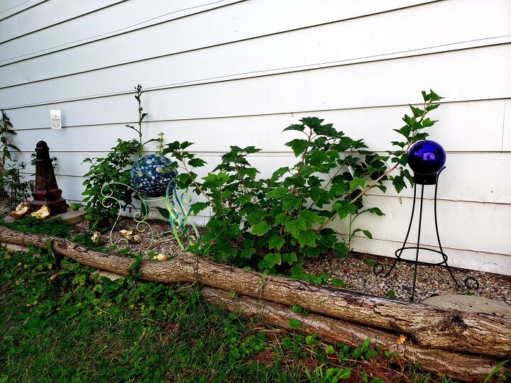 13 Gorgeous Garden Edging Ideas to Try Out This Season | Hometalk
