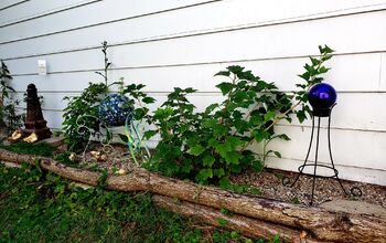 13 Gorgeous Garden Edging Ideas to Try Out This Season