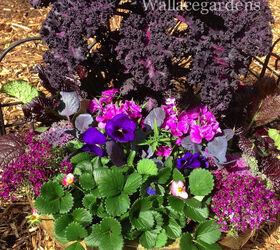 15 hermosas maneras de aadir un jardn de flores de primavera a tu jardn esta semana, El color p rpura Jard n comestible monocrom tico en contenedores