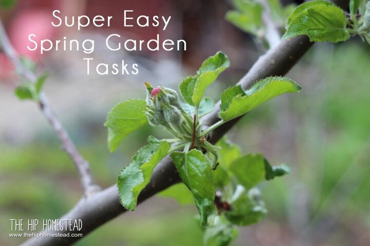 15 hermosas maneras de aadir un jardn de flores de primavera a tu jardn esta semana, Tareas s per f ciles para el jard n de primavera