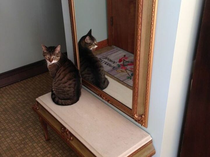 q how should i update this hallway mirror and table set