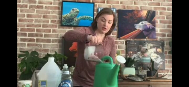 how to get rid of weeds with vinegar salt and dish soap