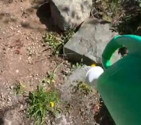 how to get rid of weeds with vinegar salt and dish soap