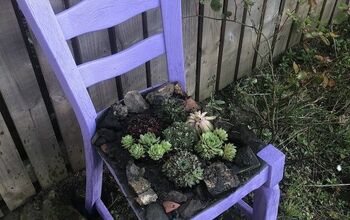 DIY Succulent Chair Planter