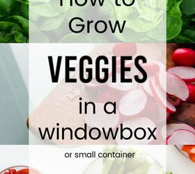 sow a salad garden in a window box