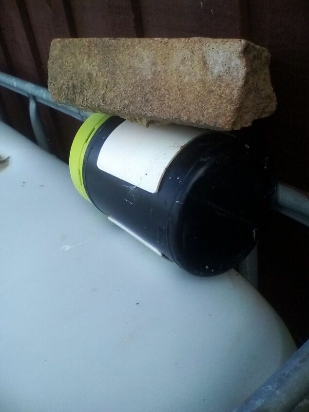 sheep toilet paper holder inspired by boredom during the lockdown