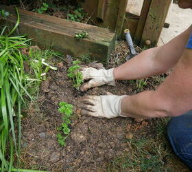 grow your own food integrating vegetables and herbs in your landscape