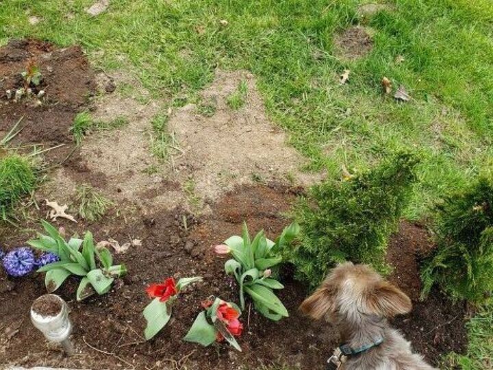 q garden