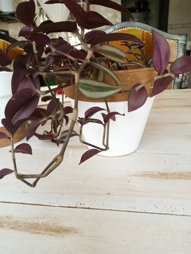 DIY Painting Terracotta Pots | Hometalk