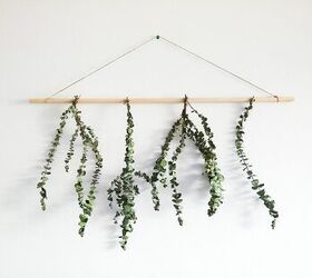 eucalyptus hanging