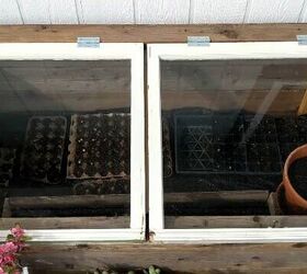 mini greenhouse for the deck or patio