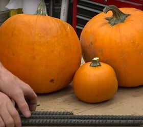 Instead of carving pumpkins, this guy left them whole for a scarier idea