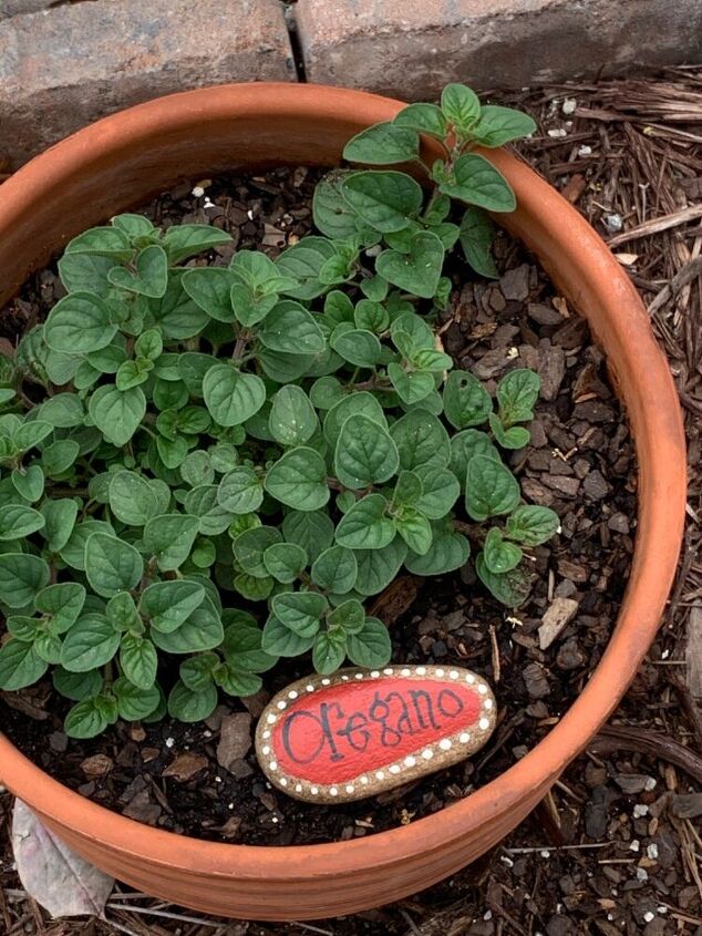 something cute for your herb garden, Oregano